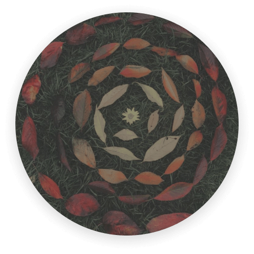 A mandala made from autumn leaves
