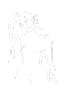 Slowmuse
